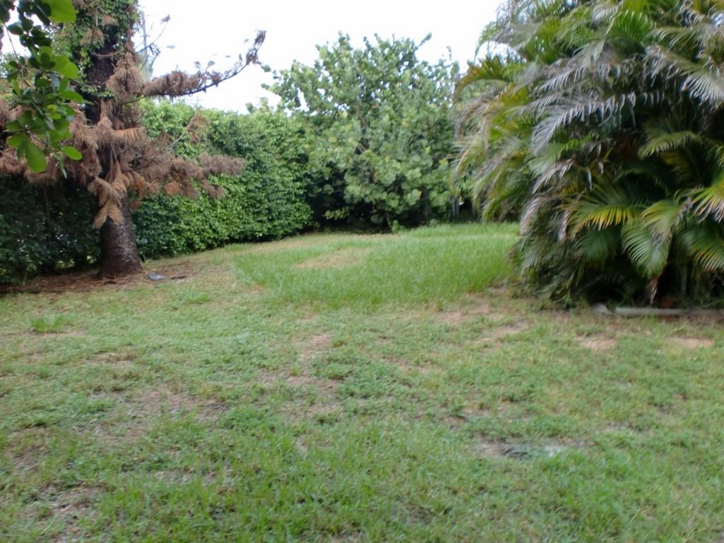 4801 Northwest 3rd Avenue Boca Raton, FL 33431 - Photo 30 of 31 CIMG9643