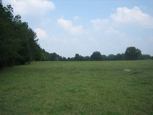 284 Hwy Road, Unit ATROCK Abbeville, SC 29620 - Photo 3 of 4 Gallery Image 3