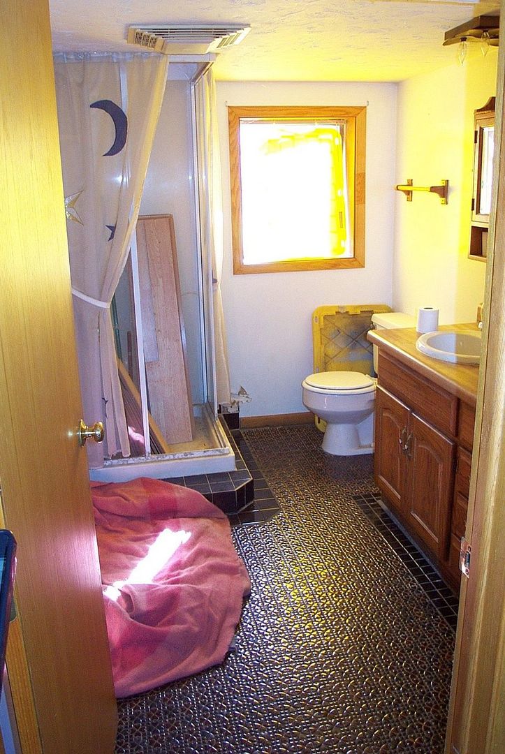 320 Kay Street Manhattan, IL 60442 - Photo 22 of 27 a bathroom with a sink a toilet and a mirror