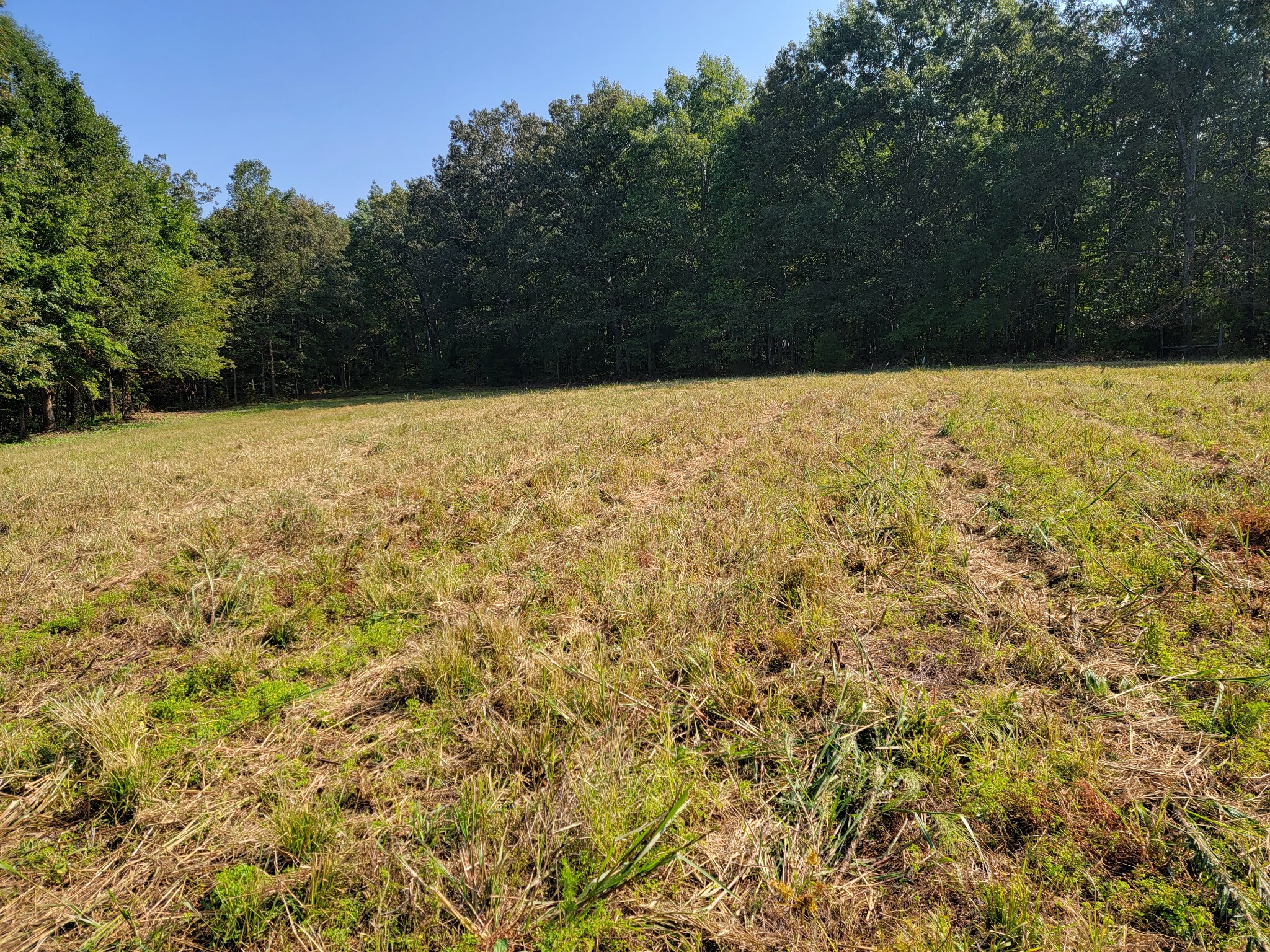0 Farrar Hill Road Manchester, TN 37355 - Photo 1 of 5 a view of yard