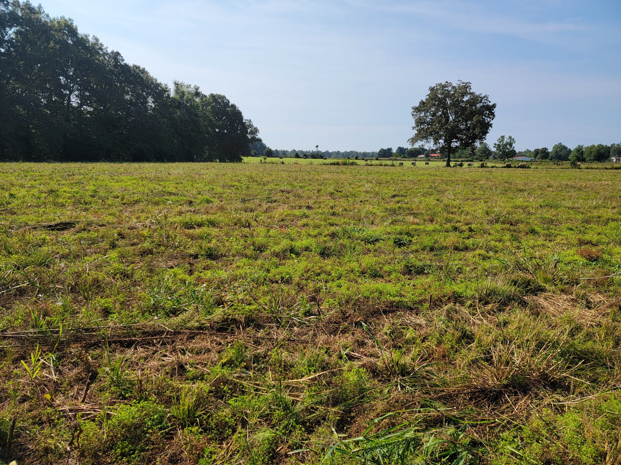 0 Farrar Hill Road Manchester, TN 37355 - Photo 3 of 5 a view of a field with an ocean