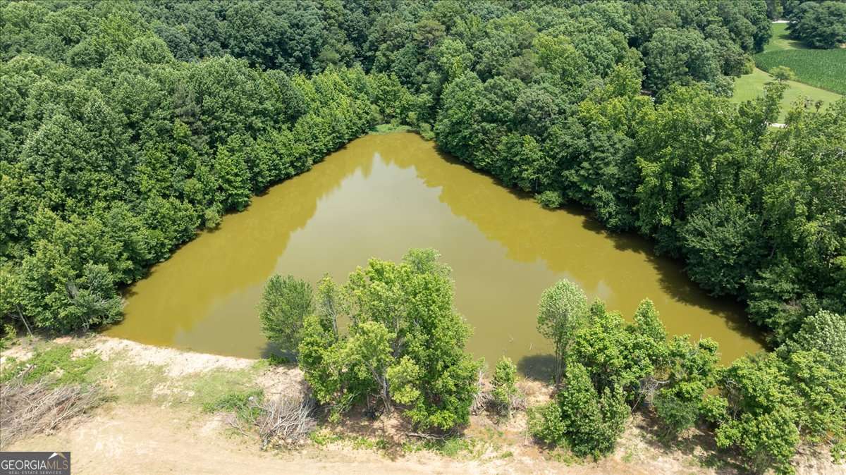 0 Moons Grove Church Road Danielsville, GA 30633 - Photo 1 of 9