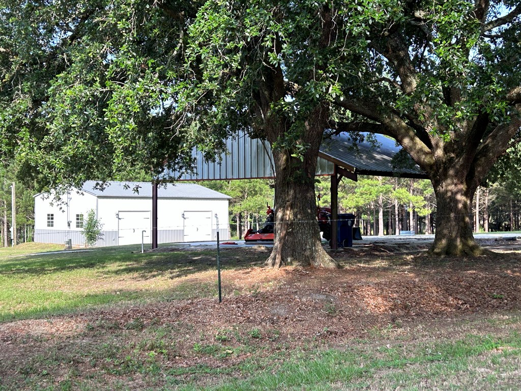 3876 D D Hodge Road Cottonwood, AL 36320 - Photo 5 of 48