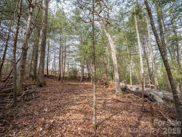a view of outdoor space with trees