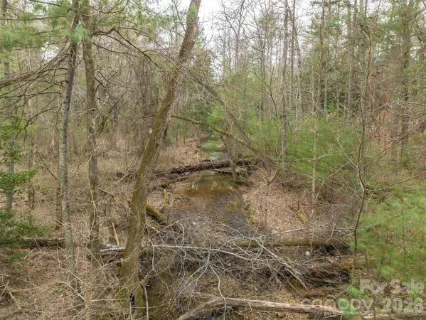 a view of a lake and green valley