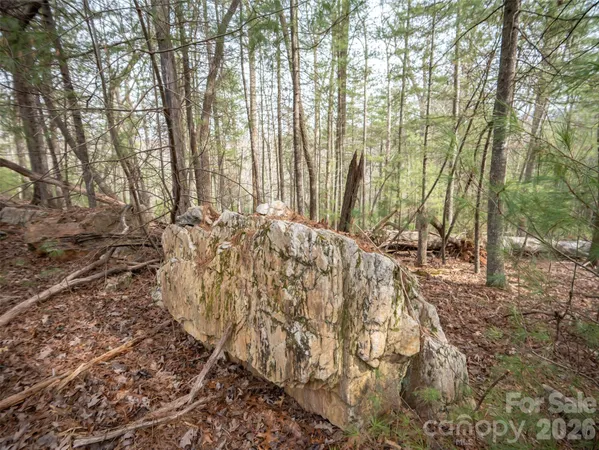 a view of three yard