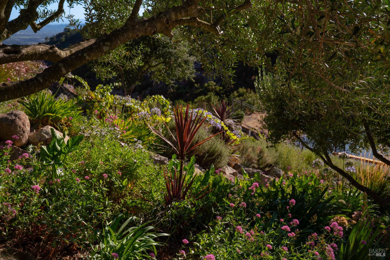 2700 Atlas Peak Road Napa, CA 94558 - Photo 66 of 67