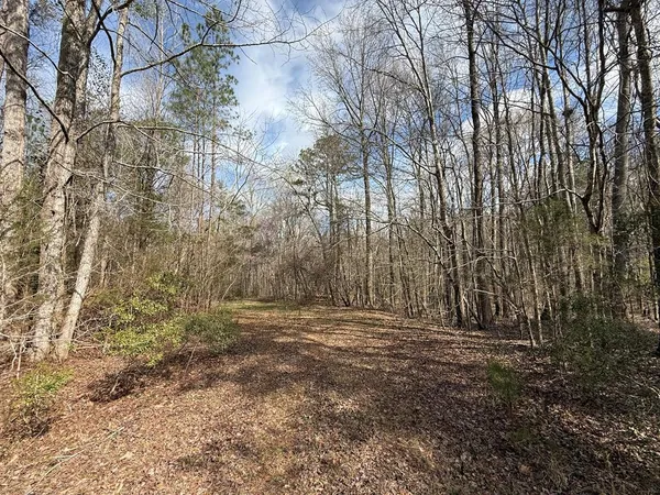 a view of outdoor space with trees