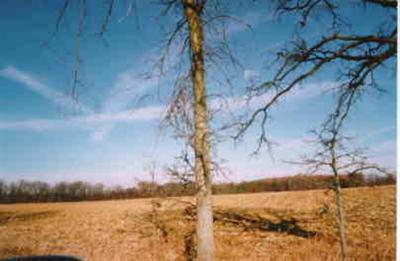 Boyer Road Greenville, MI 48838 - Photo 1 of 1 Primary Photo