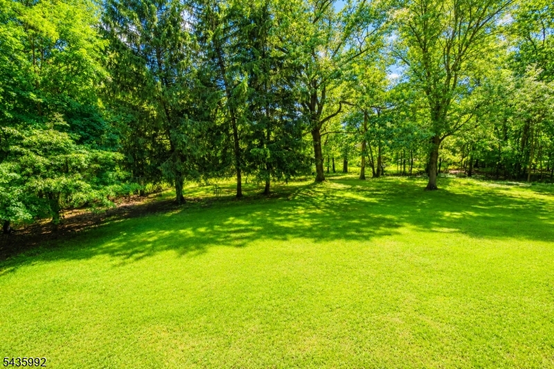 567 Foothill Road Bridgewater, NJ 08807 - Photo 8 of 37