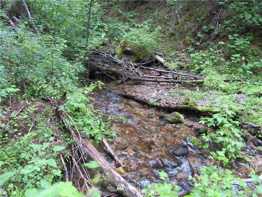 -tbd Cheney Road Republic, WA 99166 - Photo 3 of 22