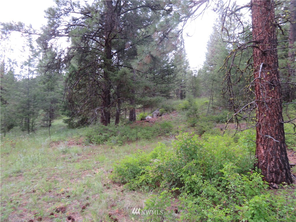 -tbd Cheney Road Republic, WA 99166 - Photo 22 of 22