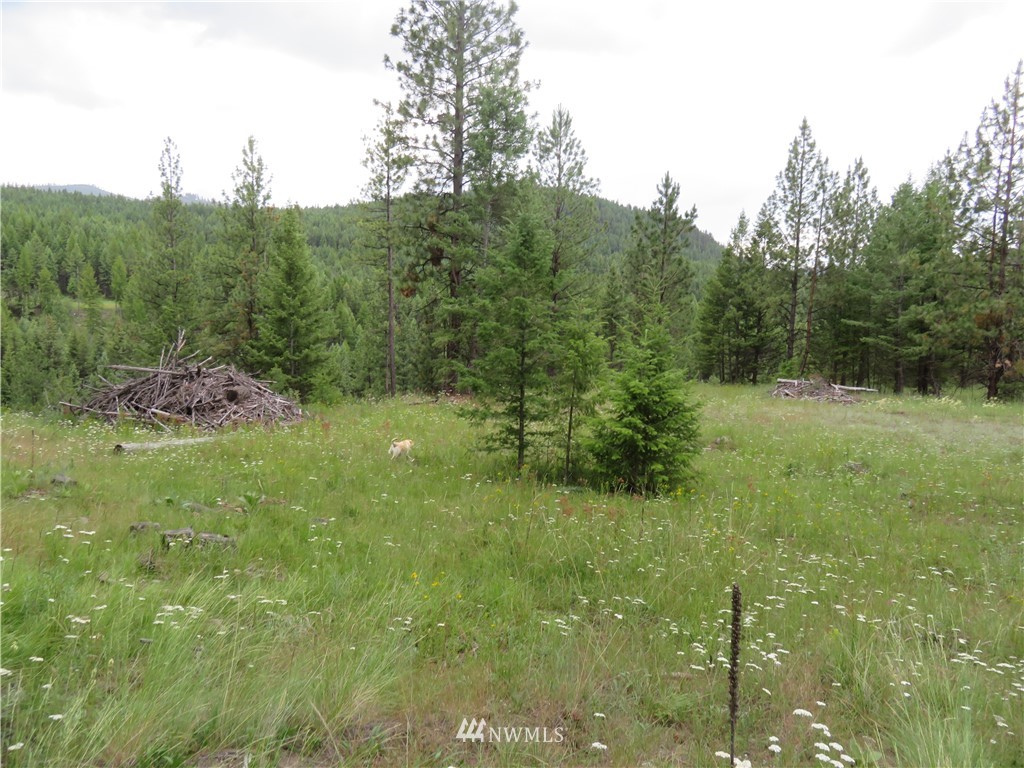 -tbd Cheney Road Republic, WA 99166 - Photo 8 of 22