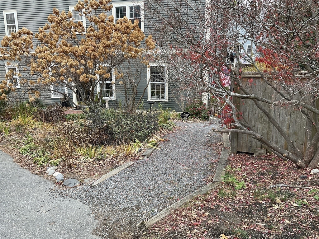26 Summer Street, Unit 8 Marblehead, MA 01945 - Photo 19 of 23 a view of a house with a yard and plant