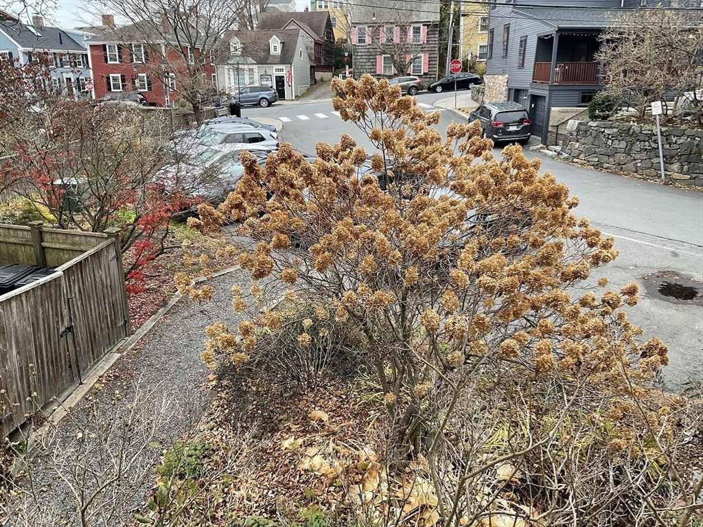 26 Summer Street, Unit 8 Marblehead, MA 01945 - Photo 20 of 23