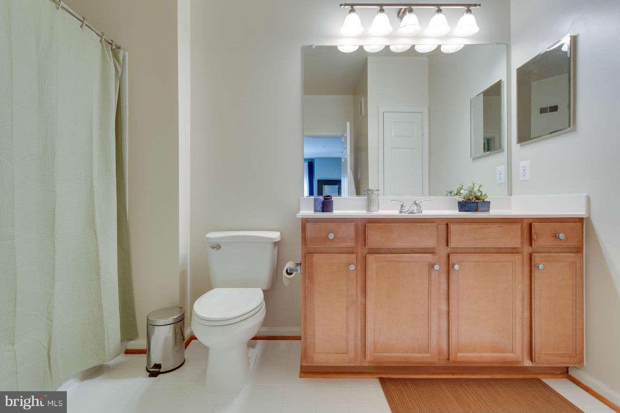 1515 North Point Drive, Unit 203 Reston, VA 20194 - Photo 17 of 28 Bath Master