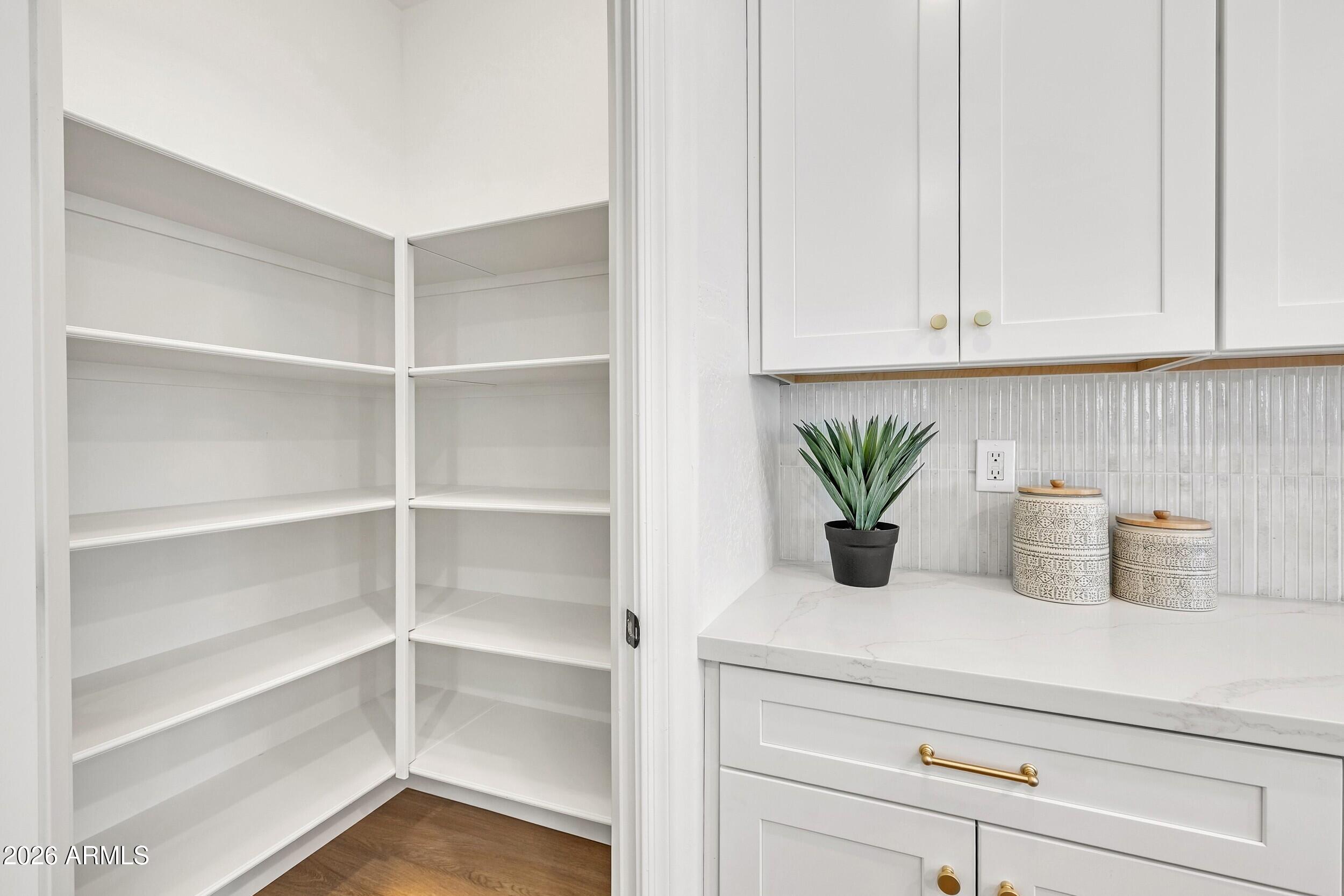 4126 East Rawhide Street Gilbert, AZ 85296 - Photo 16 of 51 19_pantry