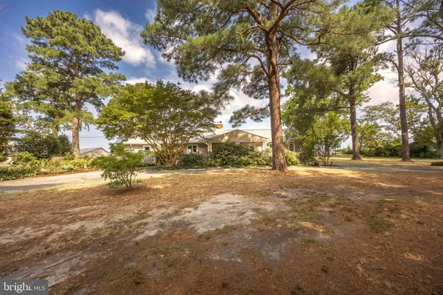 $717,000 | 3998 Oyster Shell Lane, Tyaskin, MD 21865