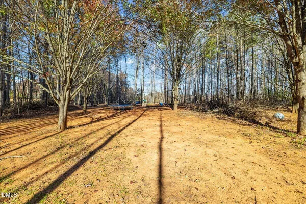 a view of a yard with a tree