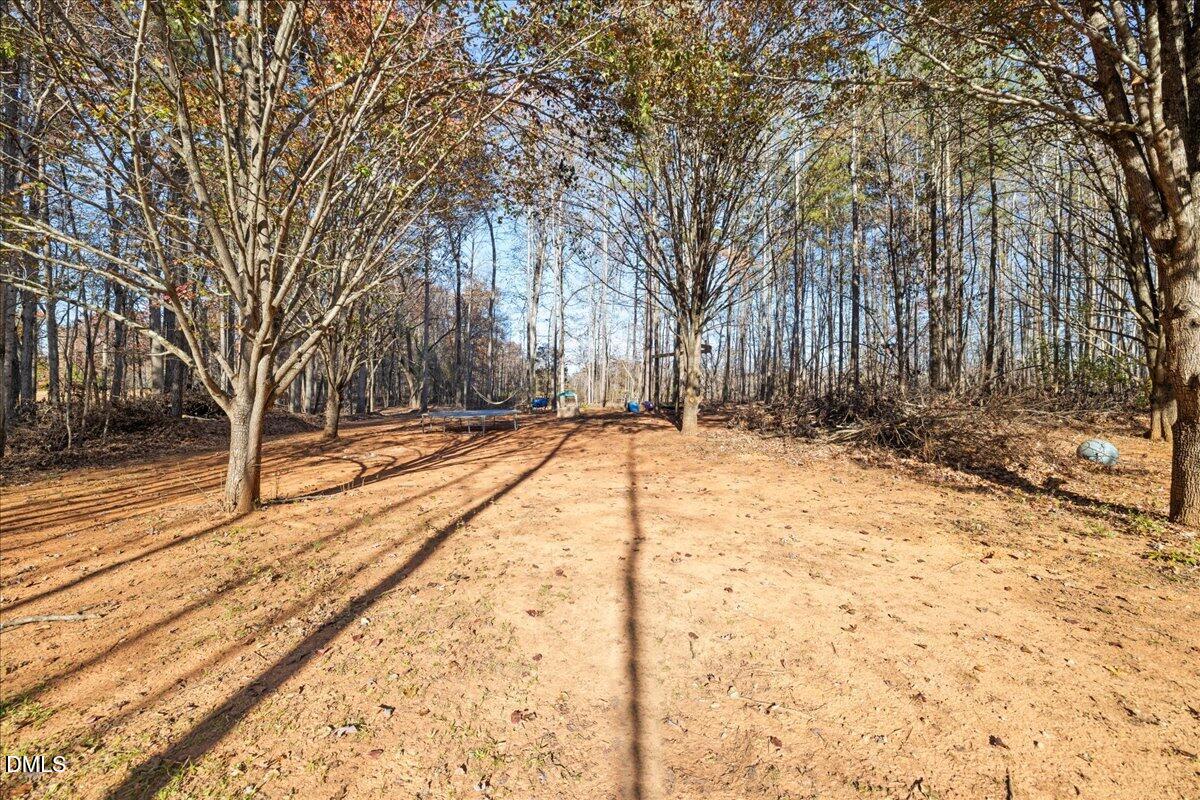 850 Lewis Winstead Loop Roxboro, NC 27574 - Photo 43 of 49 a view of empty space with trees