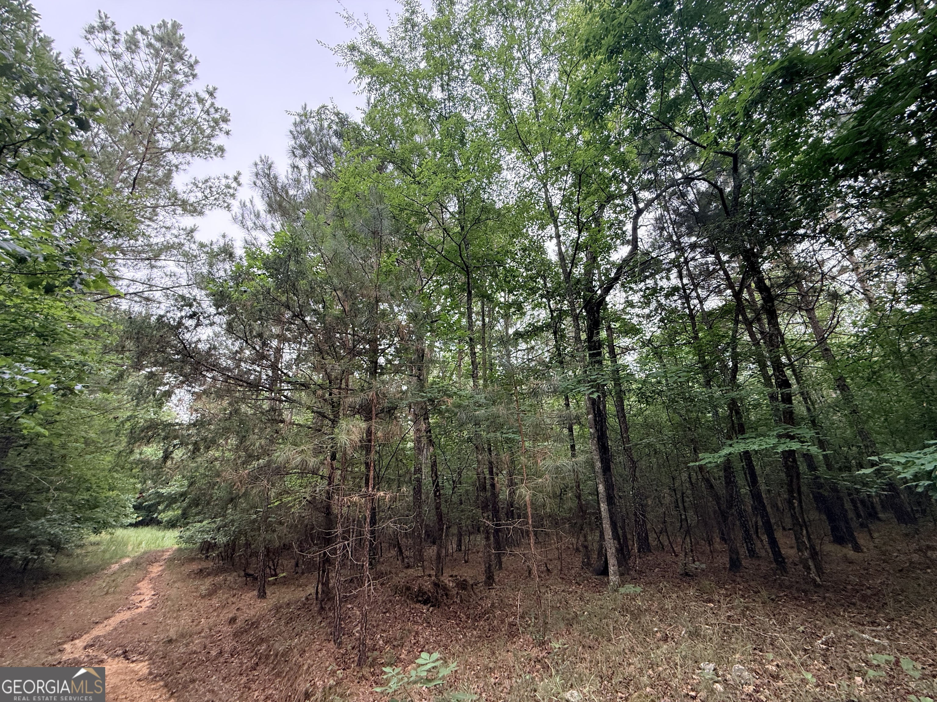 2 Bethesda Church Road Lexington, GA 30648 - Photo 25 of 66