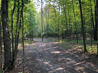 7216 Kisser Road Onaway, MI 49765 - Photo 28 of 28 Gallery Image 28