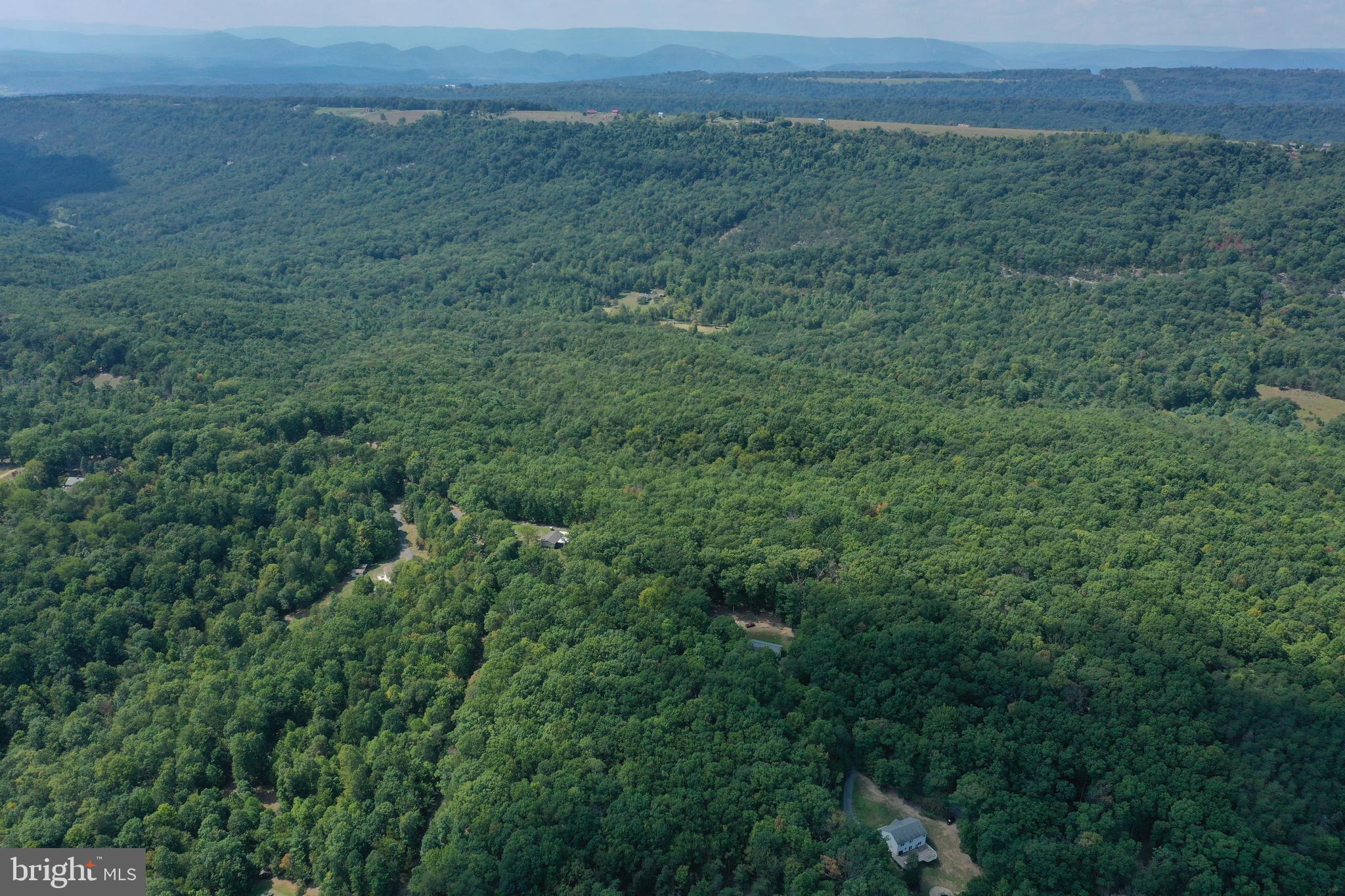 Walnut Ridge Road Oldtown, MD 21555 - Photo 11 of 11 a view of a big yard with lots of green space