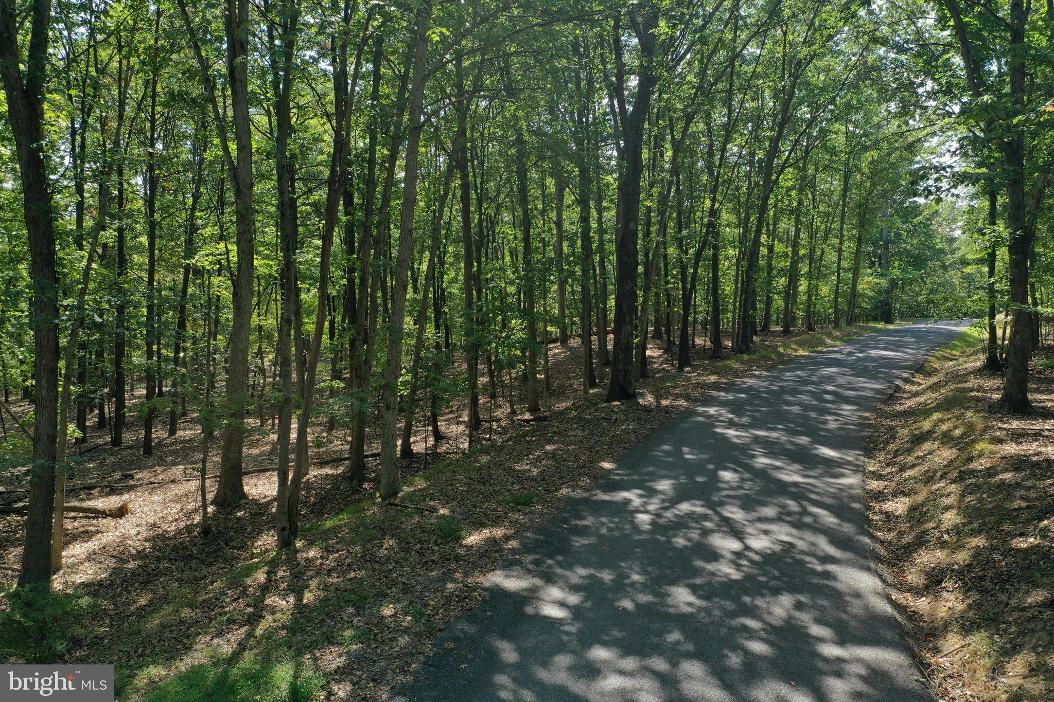 Walnut Ridge Road Oldtown, MD 21555 - Photo 3 of 11 a view of outdoor space and trees