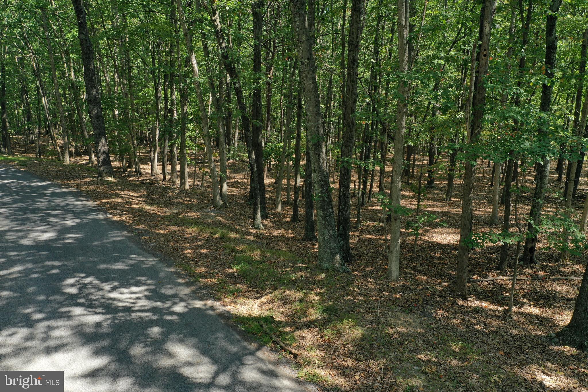 Walnut Ridge Road Oldtown, MD 21555 - Photo 5 of 11 a backyard of a house with lots of green space