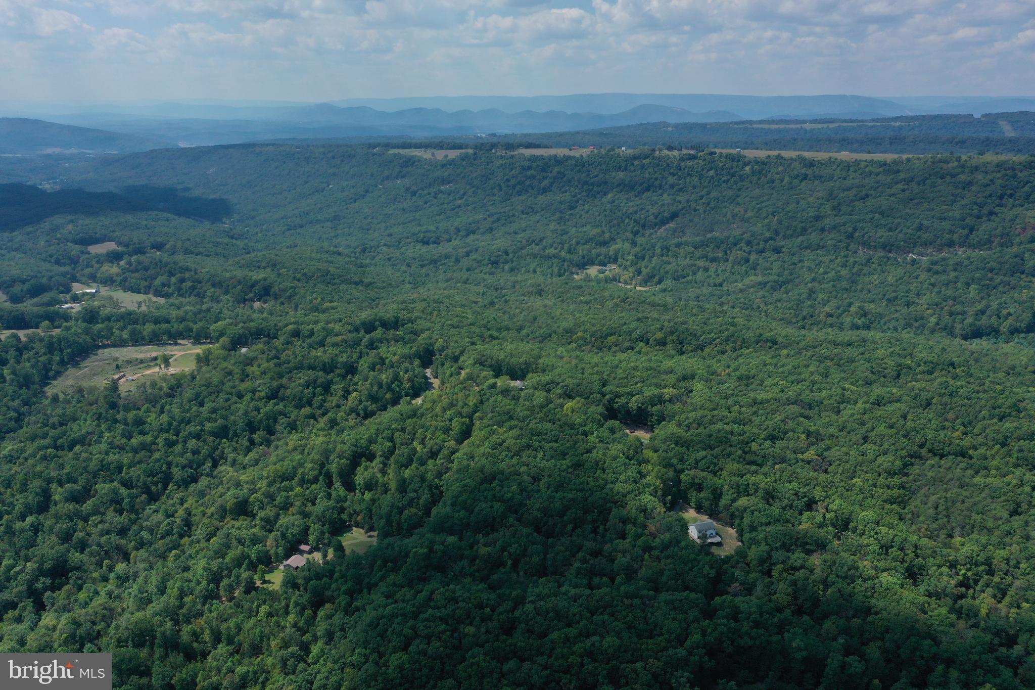 Walnut Ridge Road Oldtown, MD 21555 - Photo 8 of 11 a view of a field of grass and trees