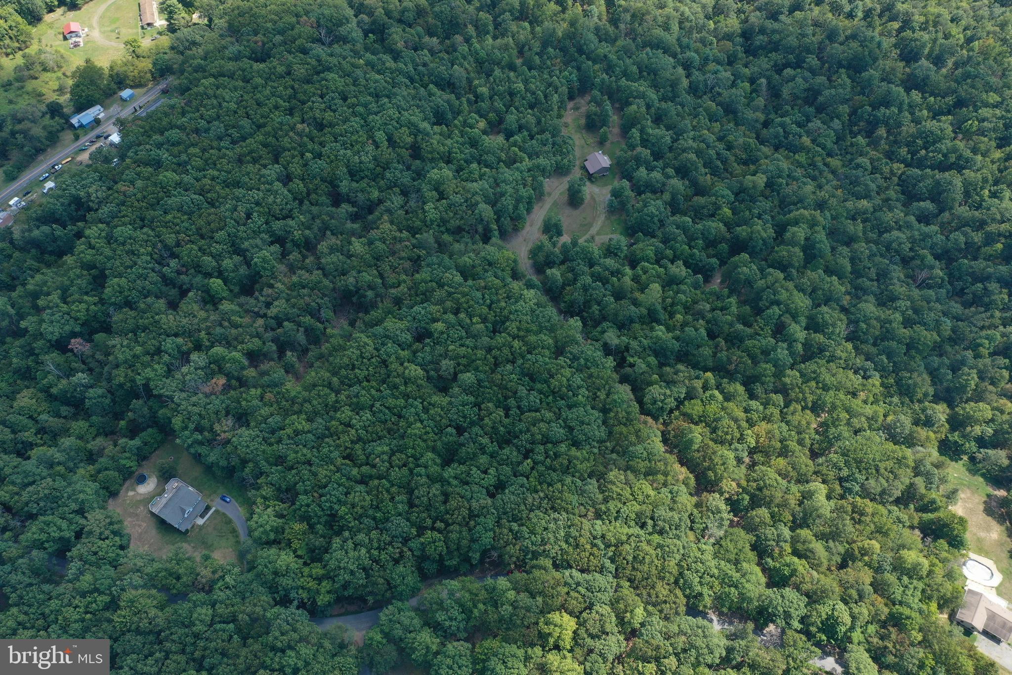 Walnut Ridge Road Oldtown, MD 21555 - Photo 9 of 11 a view of a lush green forest with lots of trees