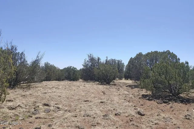 a view of mountain view with trees in the background