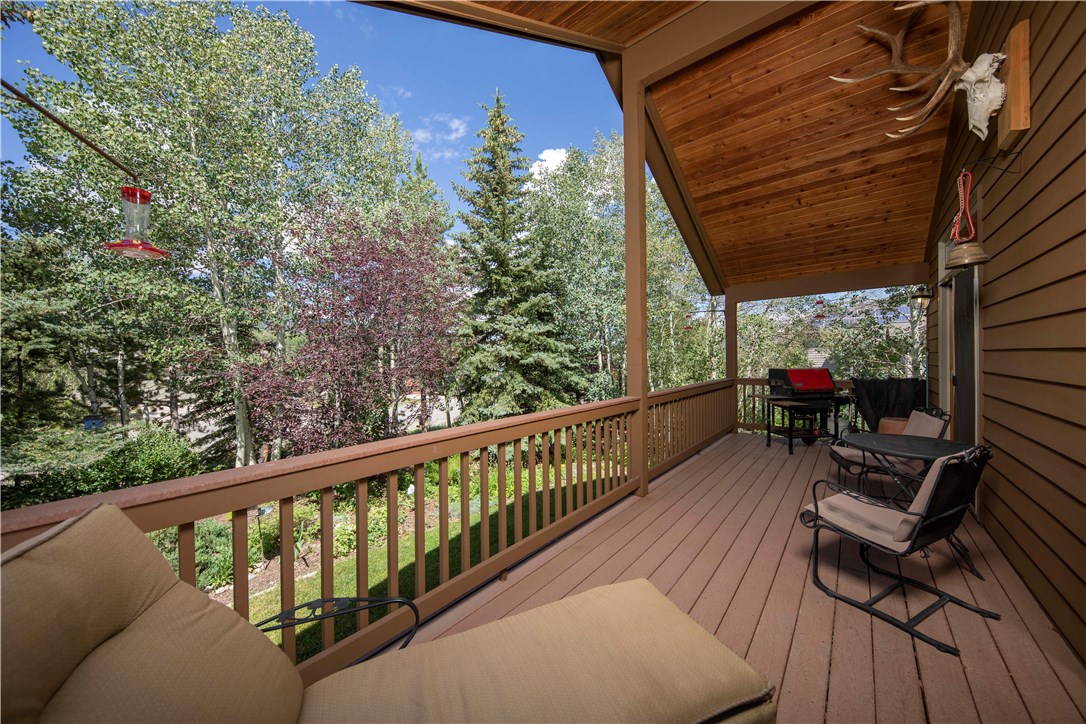 300 Riley Road Silverthorne, CO 80498 - Photo 3 of 34 Gallery Image 3