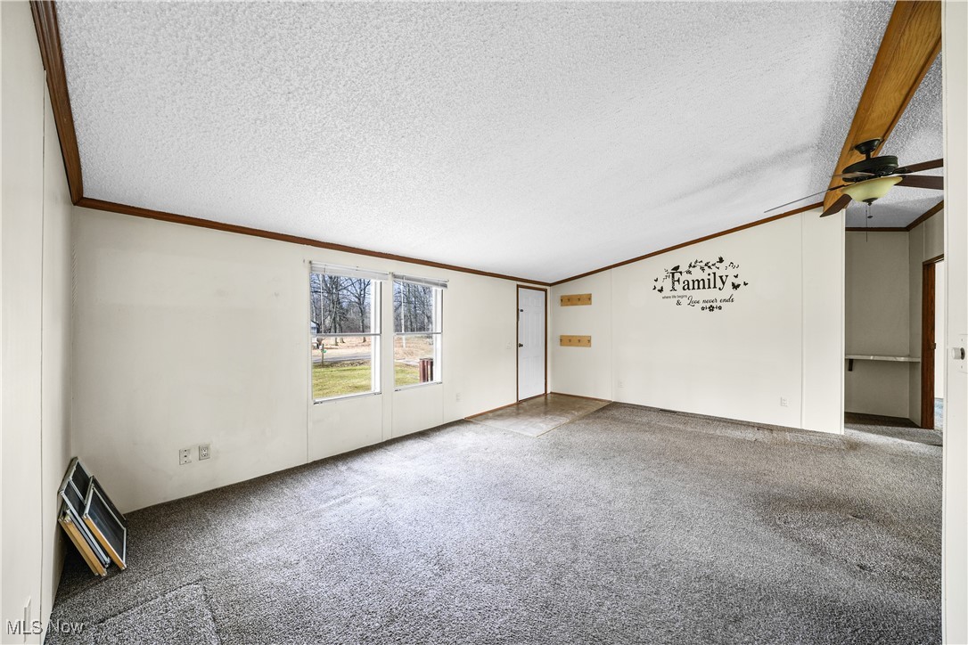 3792 Selnik Road Kent, OH 44240 - Photo 8 of 39 Carpeted spare room with ornamental molding, lofted ceiling, and a textured ceiling