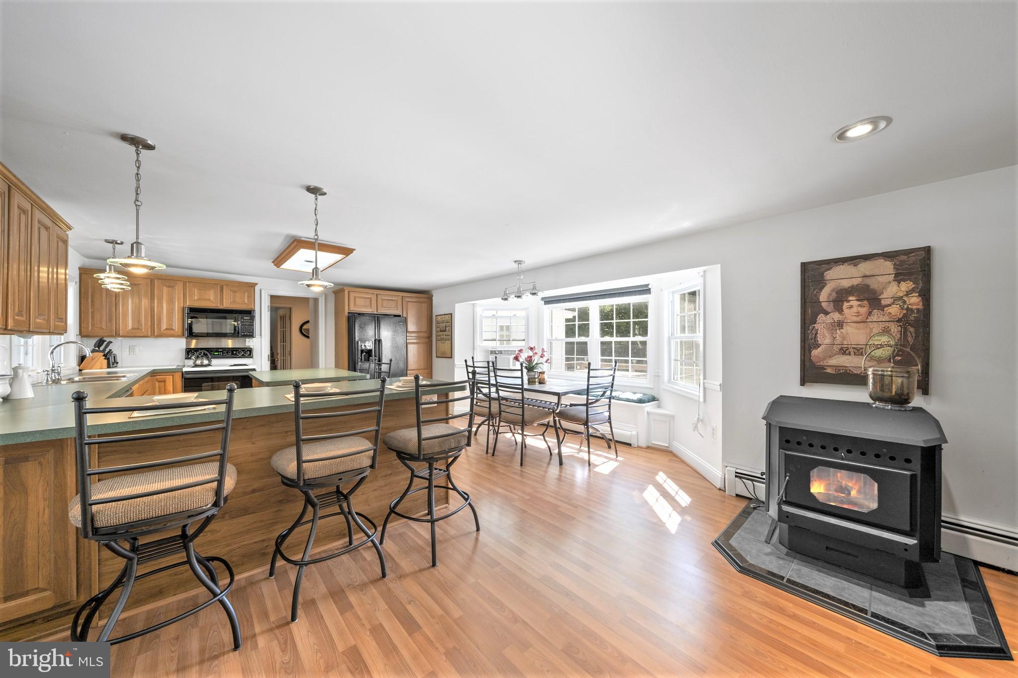17519 Teagues Point Road Hughesville, MD 20637 - Photo 10 of 26 Wood burning stove