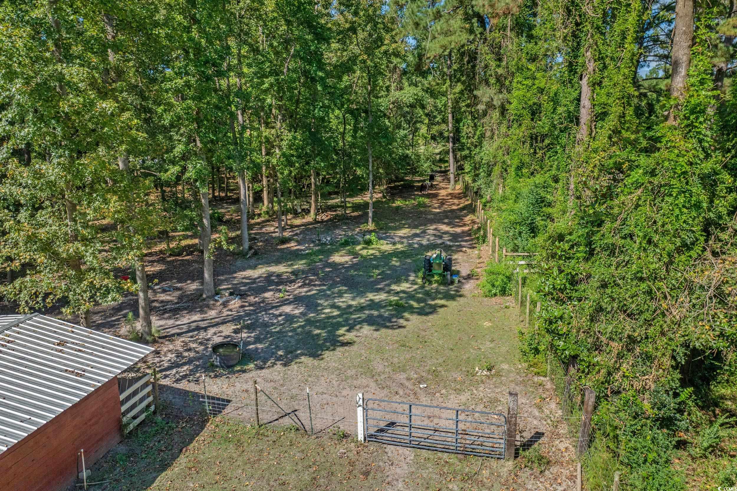 2323 Main Street Loris, SC 29569 - Photo 14 of 40 View of yard