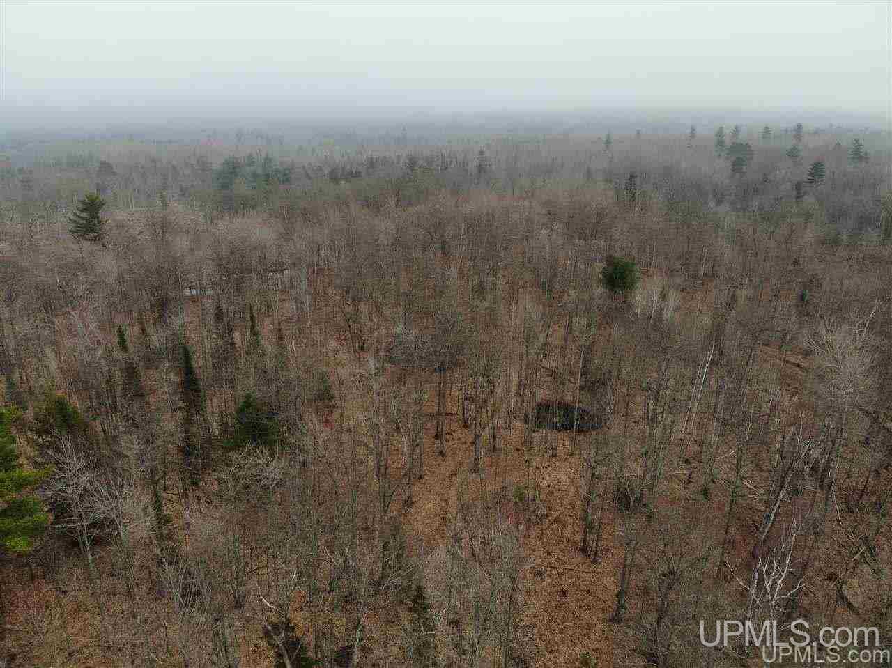 Tbd Plains Cutoff Road Baraga, MI 49908 - Photo 39 of 49