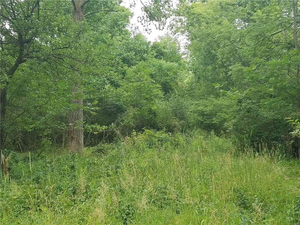 0 Center Road Kendall, NY 14476 - Photo 1 of 1