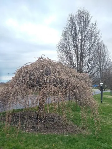 $209,900 | 5316 Lake Road, Avon, NY 14414