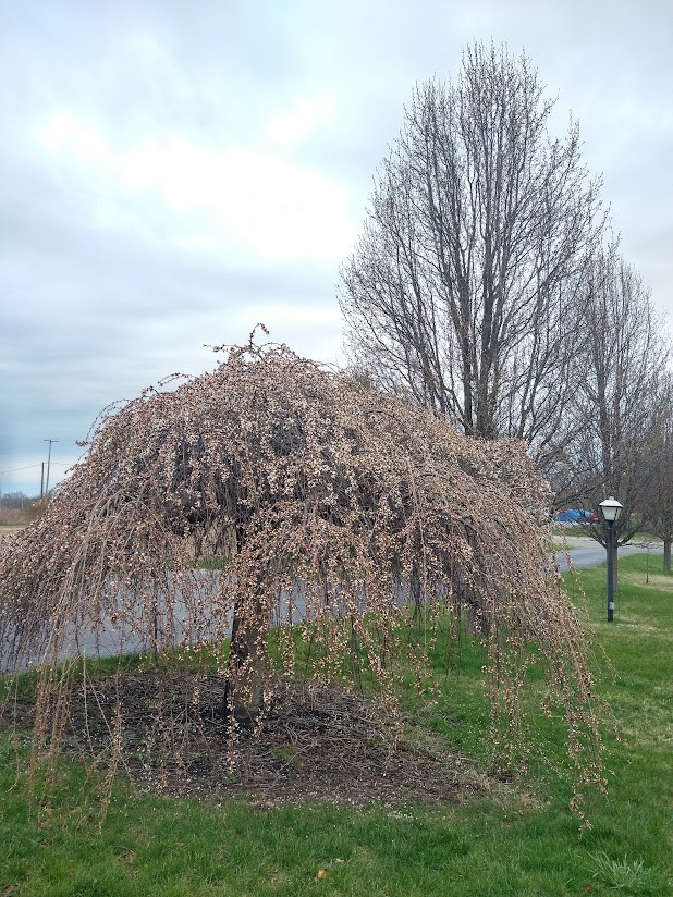 5316 Lake Road Avon, NY 14414 - Photo 25 of 39