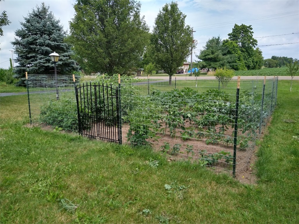 5316 Lake Road Avon, NY 14414 - Photo 33 of 39