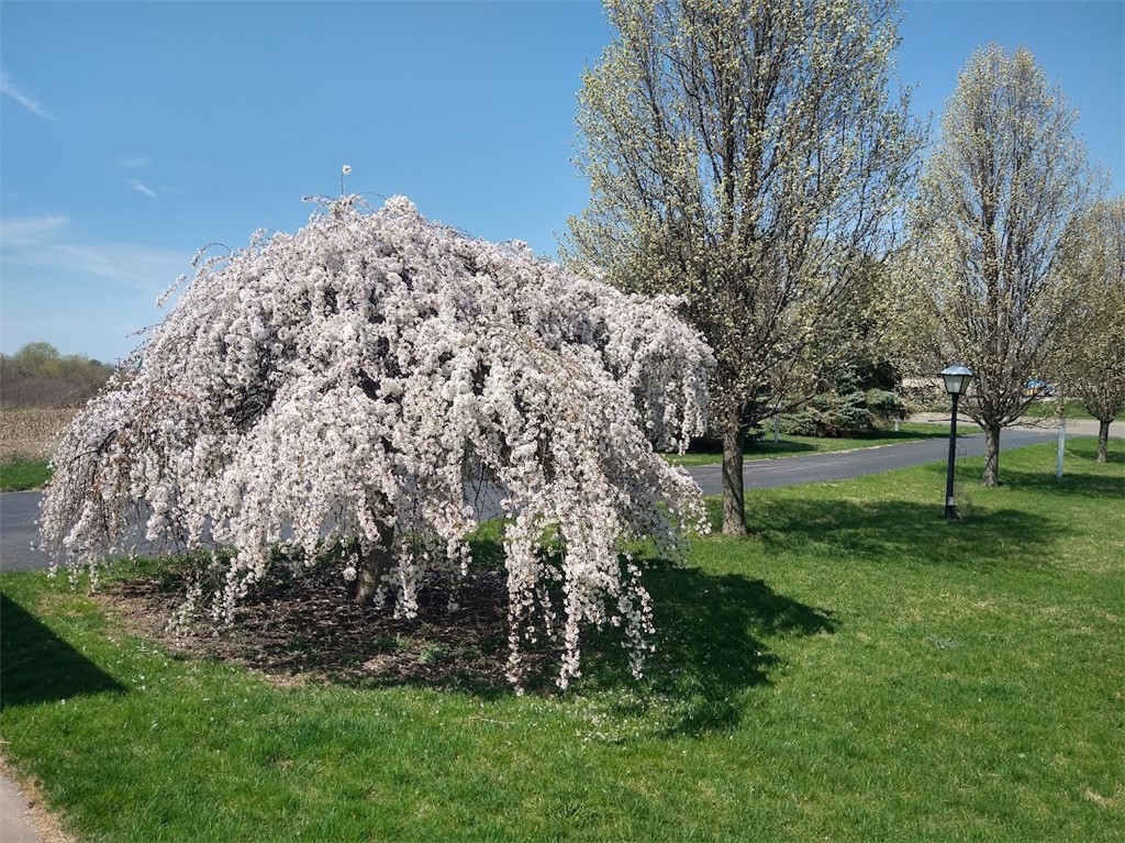 5316 Lake Road Avon, NY 14414 - Photo 38 of 39