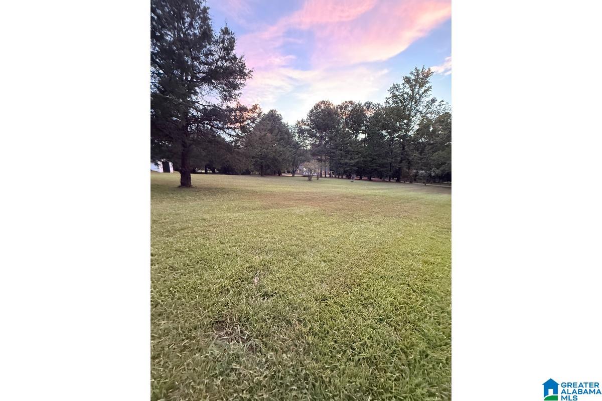 960 Camp Branch Road Alabaster, AL 35007 - Photo 43 of 78
