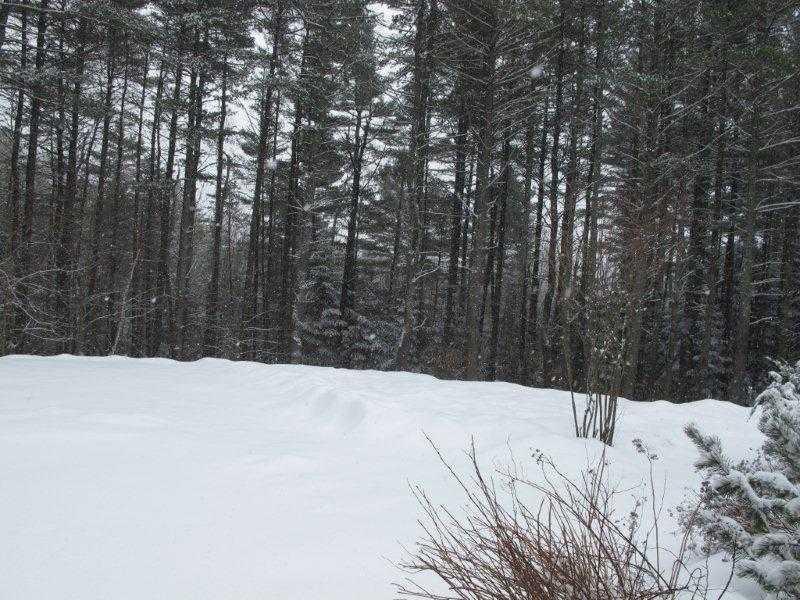 32 South Reynolds Road Winslow, ME 04901 - Photo 22 of 23 Yard/Garden.