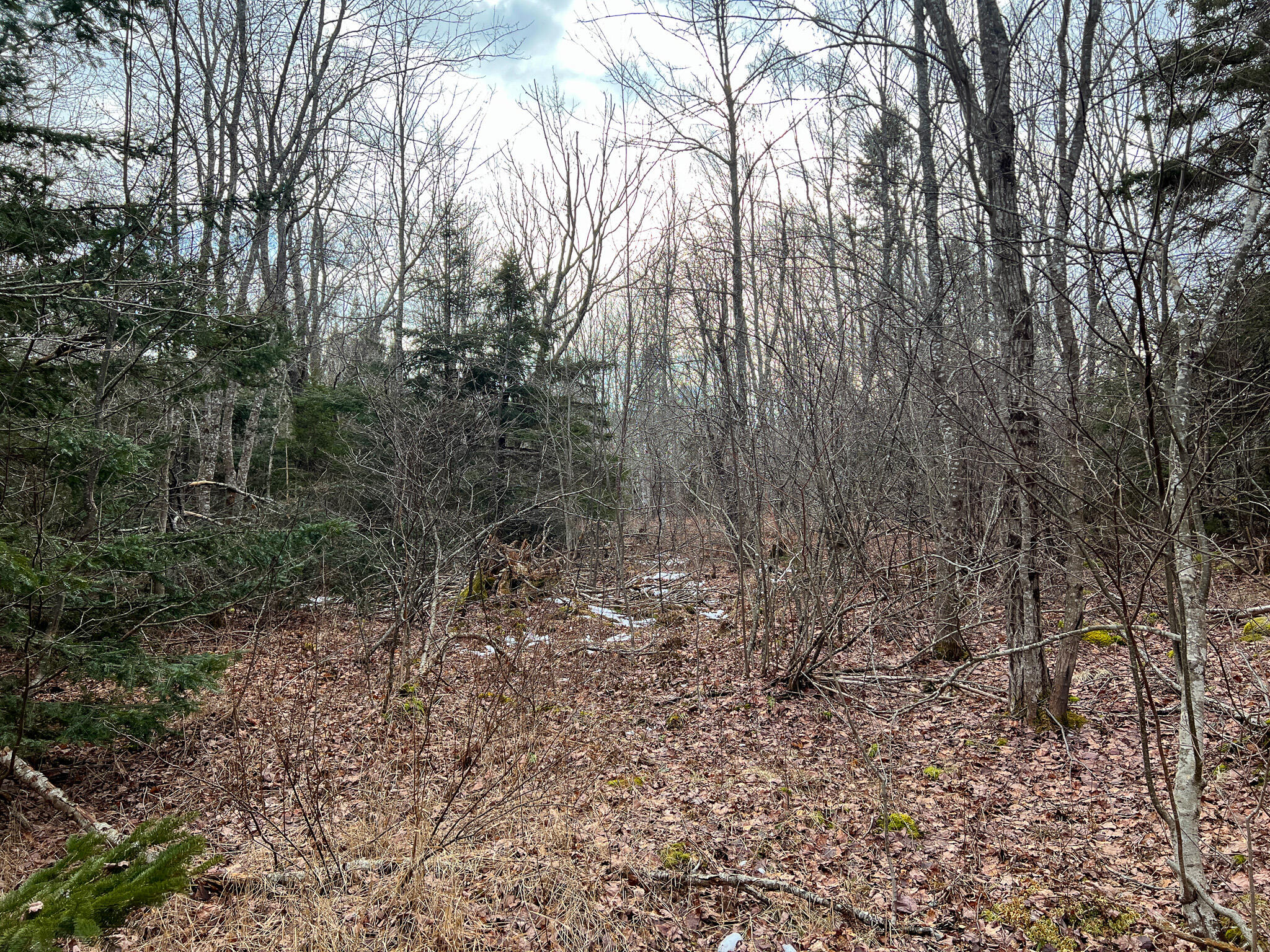 M4-l117 Southwest Crk Road Jonesport, ME 04649 - Photo 10 of 18 IMG_8380