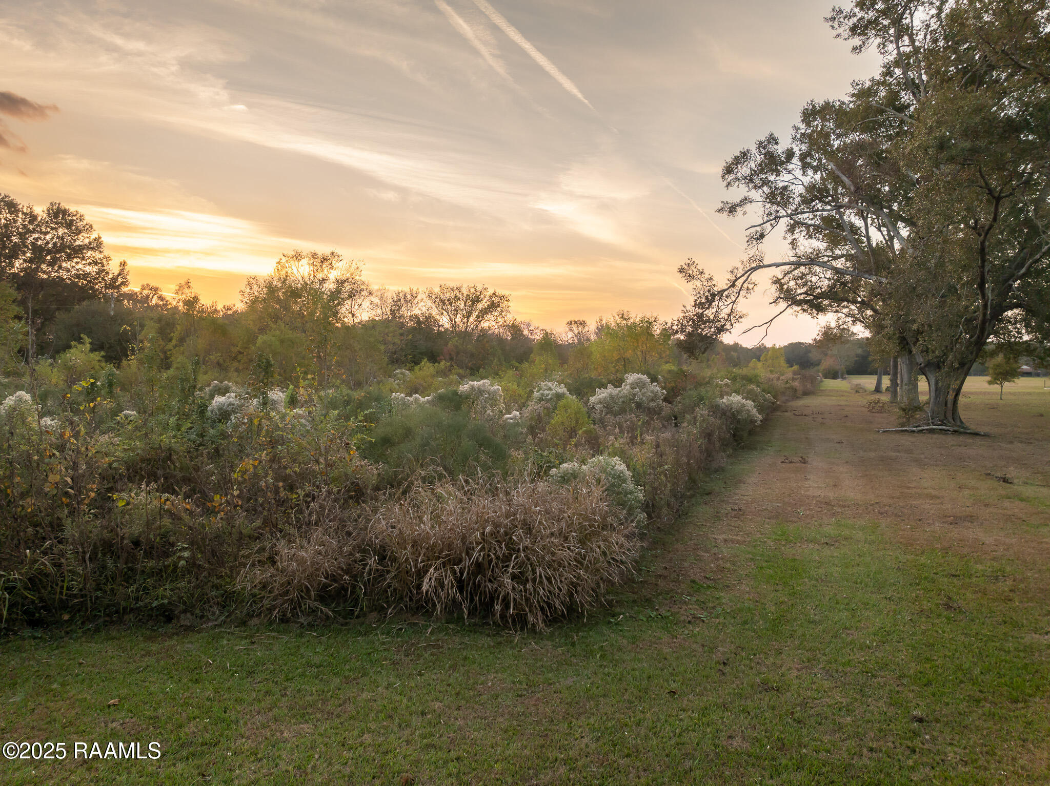 Marie Road Church Point, LA 70525 - Photo 7 of 8 DJI_0327