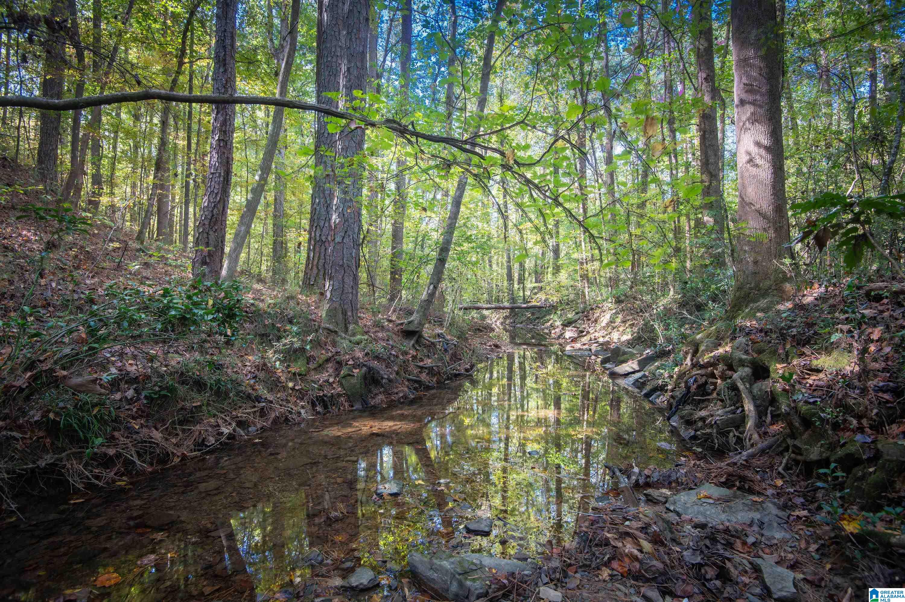 4533 Little River Road Birmingham, AL 35213 - Photo 33 of 43