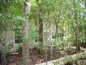 5123 Southwest 9 Lane Gainesville, FL 32607 - Photo 1 of 1 Gallery Image 1