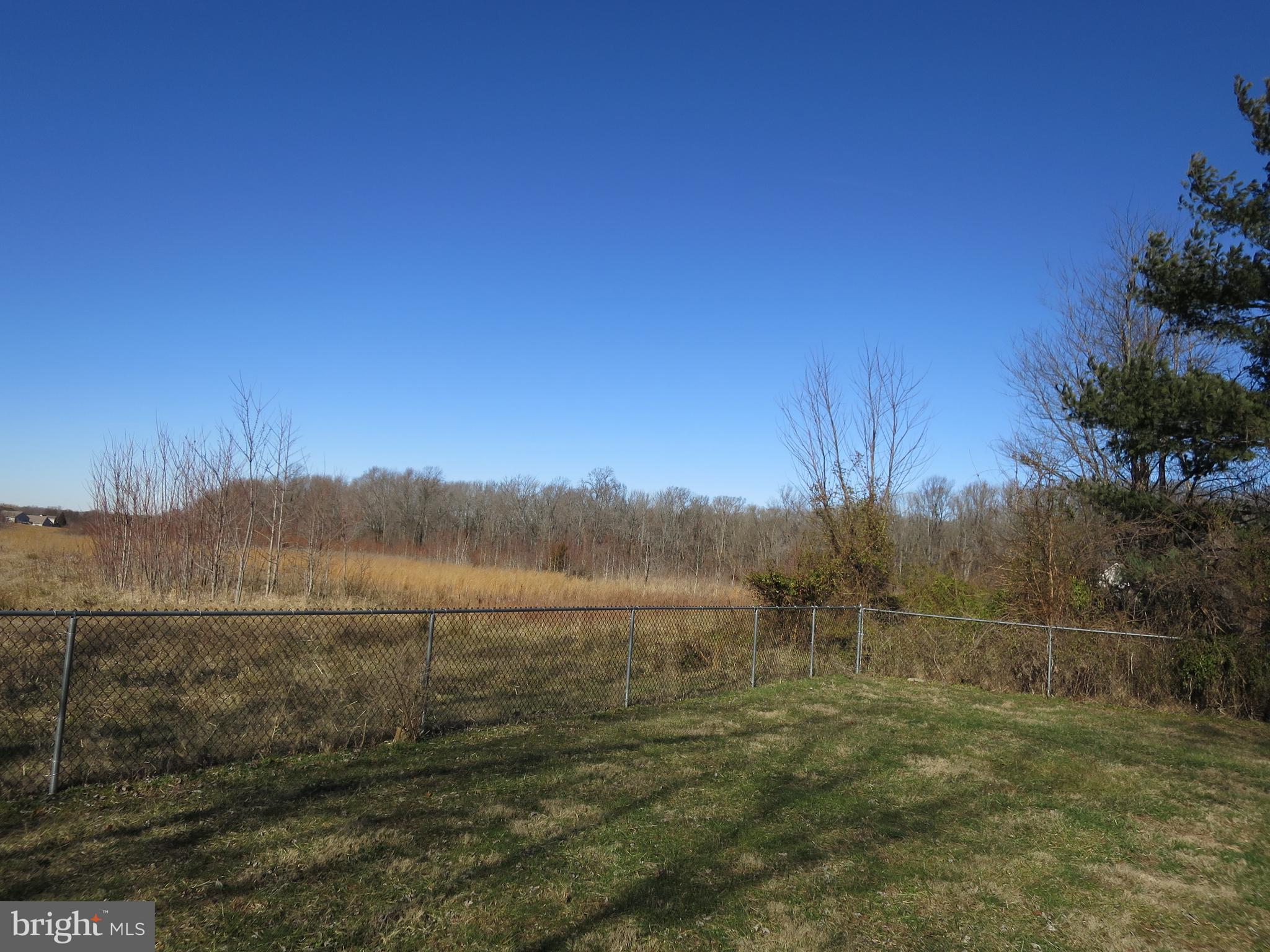 1108 Paddock Road Smyrna, DE 19977 - Photo 8 of 21 approx 1.5 acres wooded