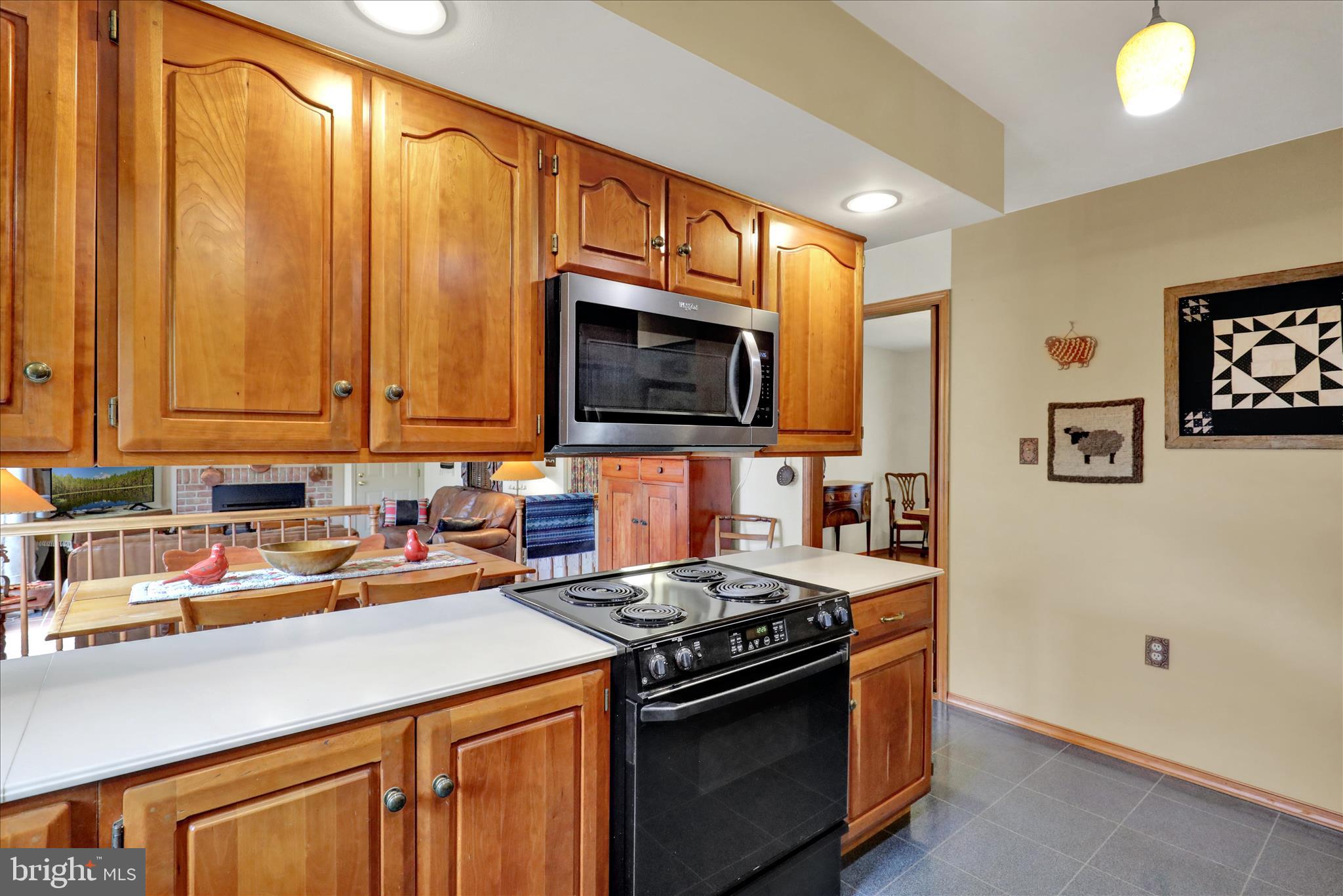 536 Grings Hill Road Reading, PA 19608 - Photo 15 of 53 360_8881